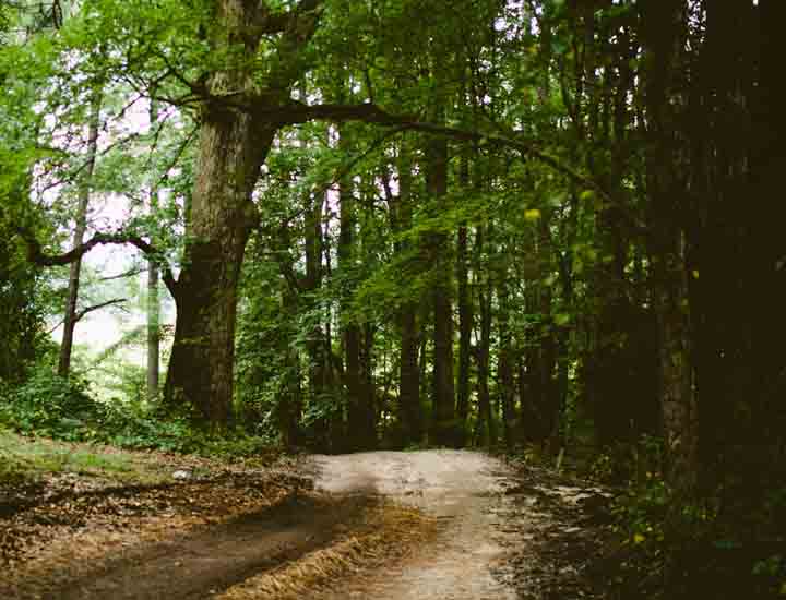 让您更省心的网站攻击软件工具